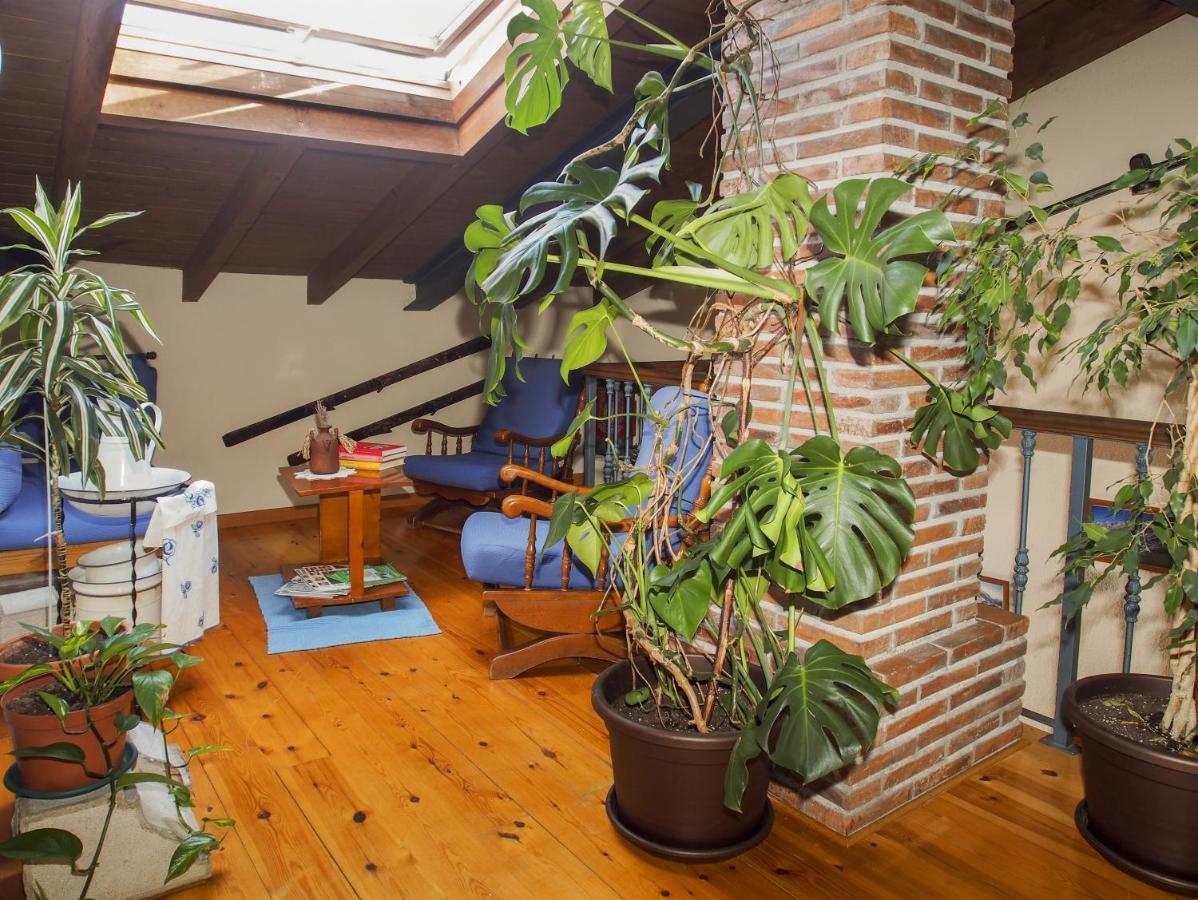 Casa De La Montana Albergue Turistico Avin Exterior photo